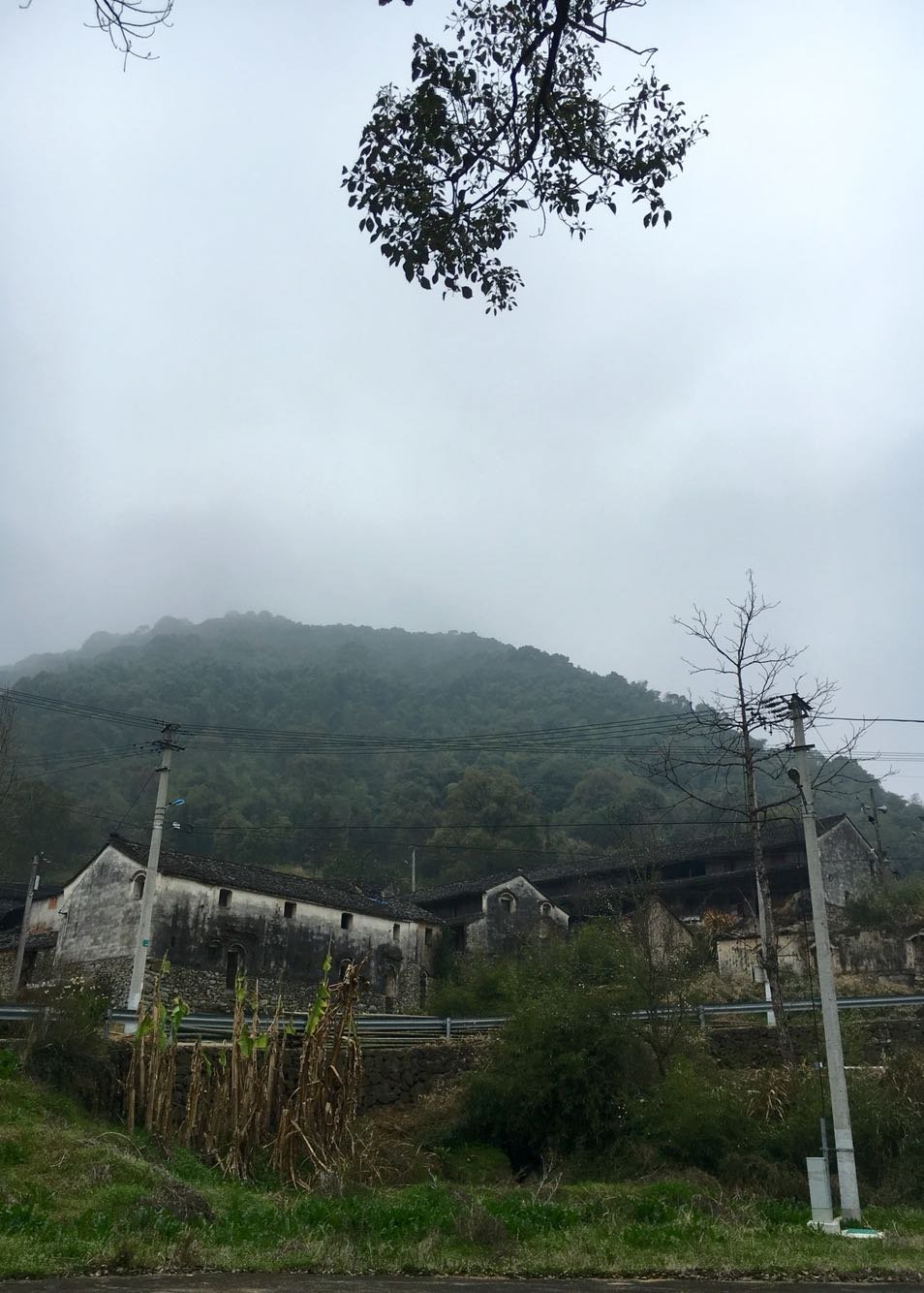 居荣村天气预报更新通知