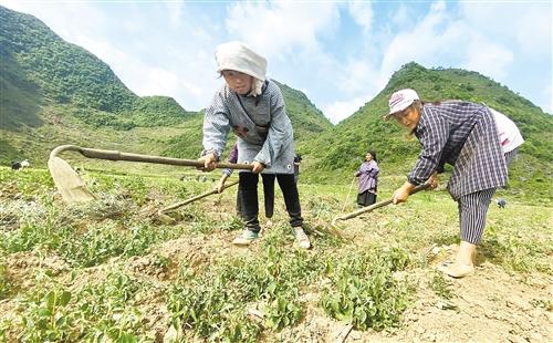 克长乡最新新闻动态报道速递