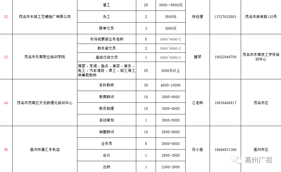 高州市人力资源和社会保障局最新招聘概览