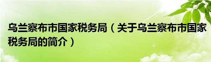 乌兰察布市国家税务局最新招聘概览