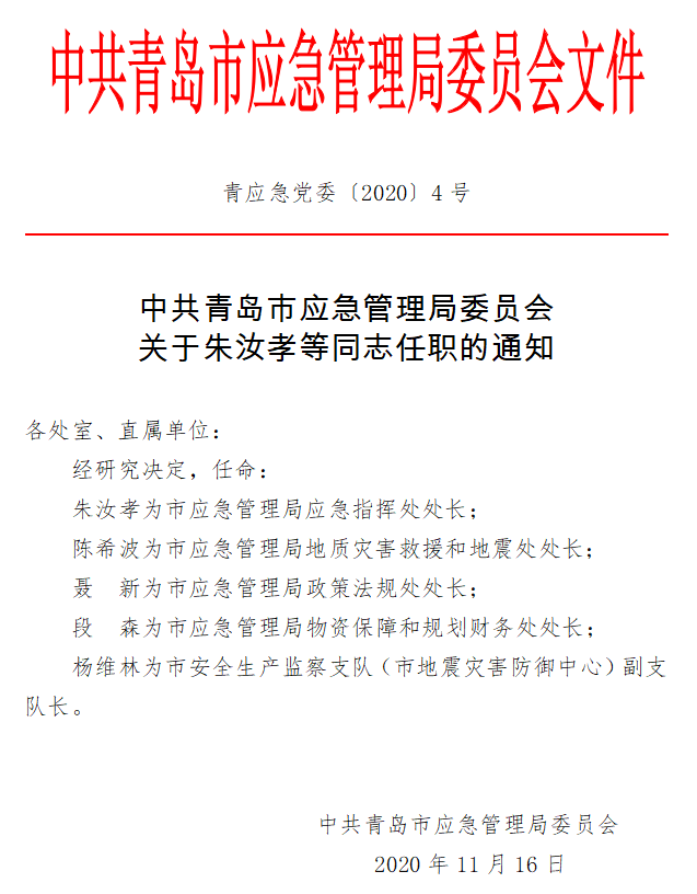 武冈市应急管理局人事任命，强化应急管理体系建设